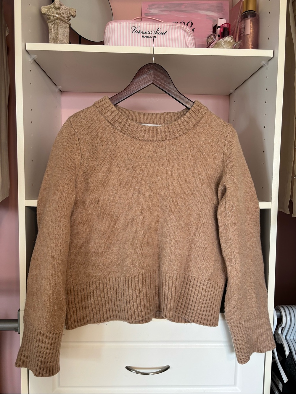 Max Studio Camel Crewneck Sweater